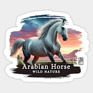 Arabian Horse - WILD NATURE - HORSE -2 Sticker